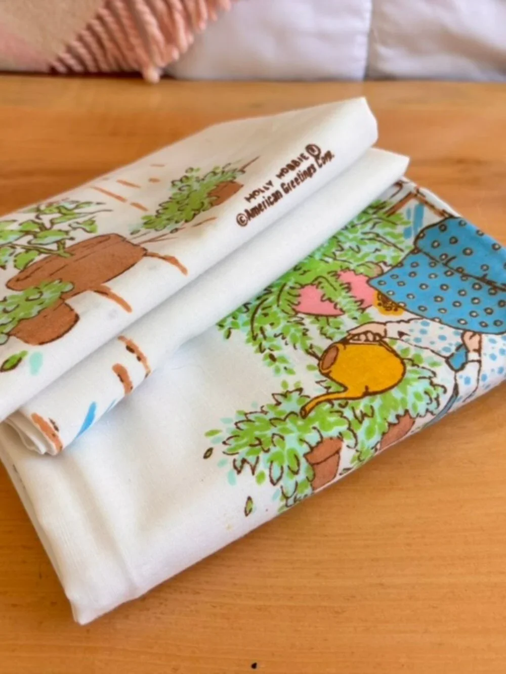 Set of Vintage 70's American Greetings Holly Hobbie pillowcases